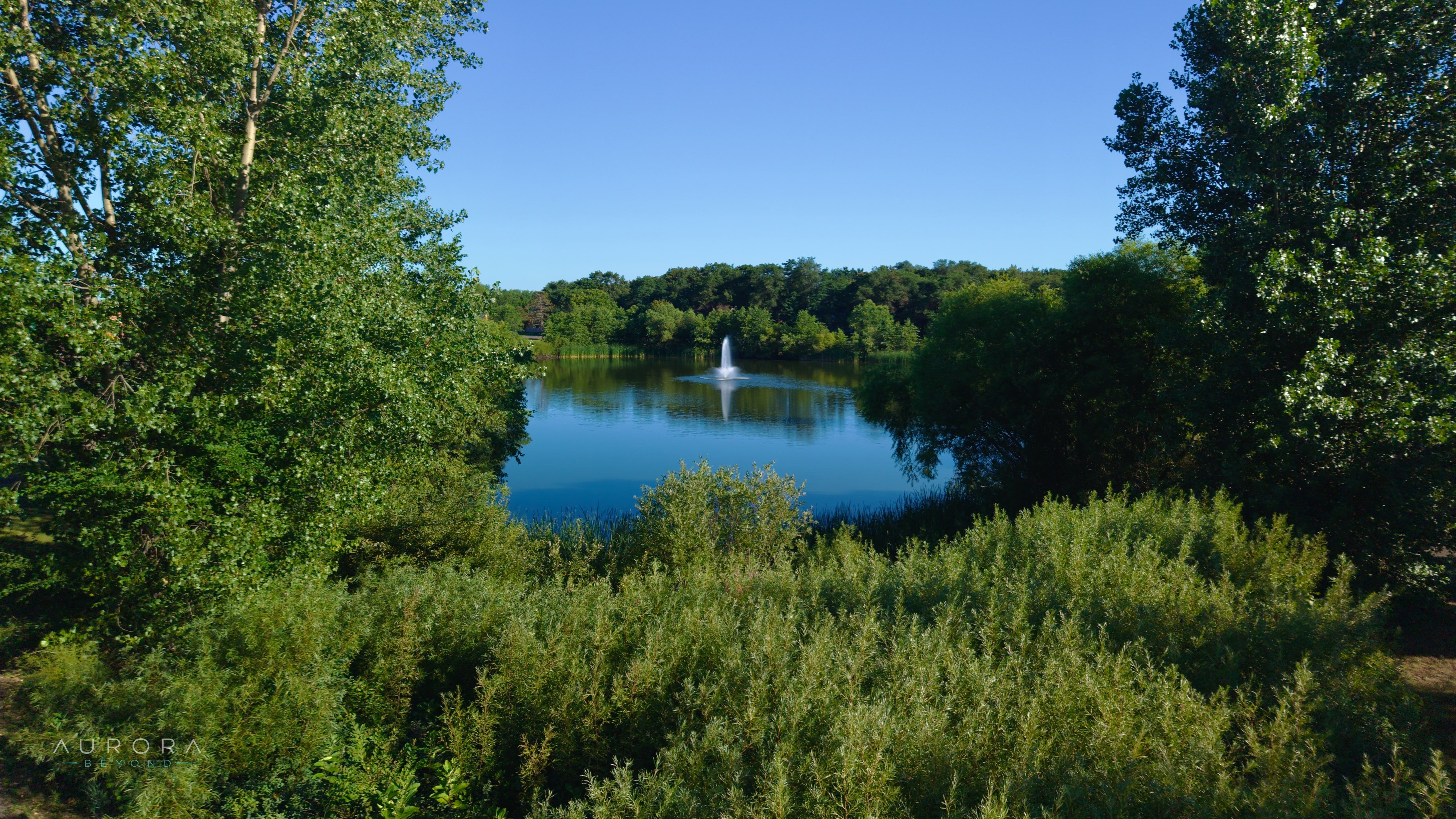 A fountain on a calm pond seen through a gap in summer trees, deep blue sky above