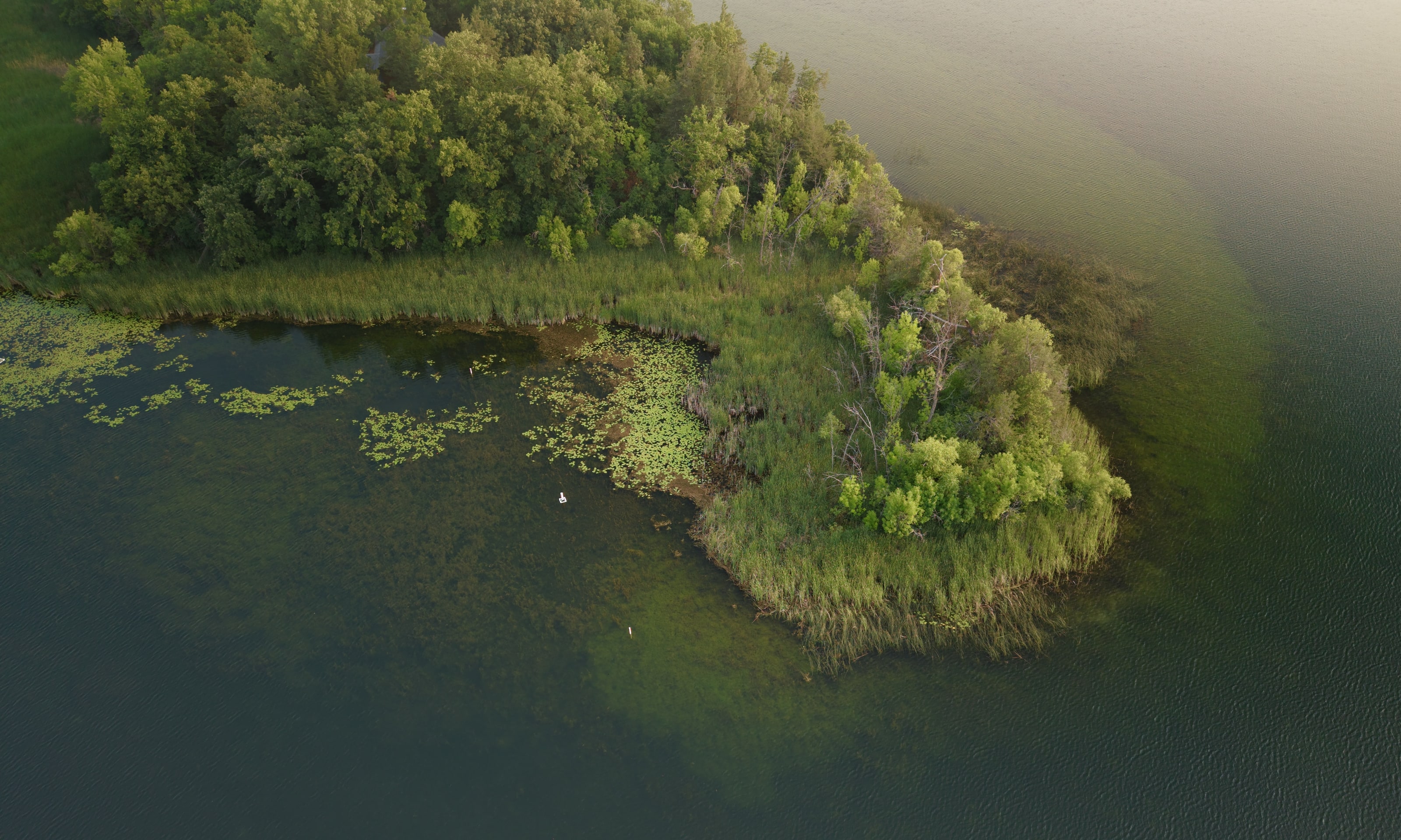 Aerial perspective over the lakes and forests of cabin country
